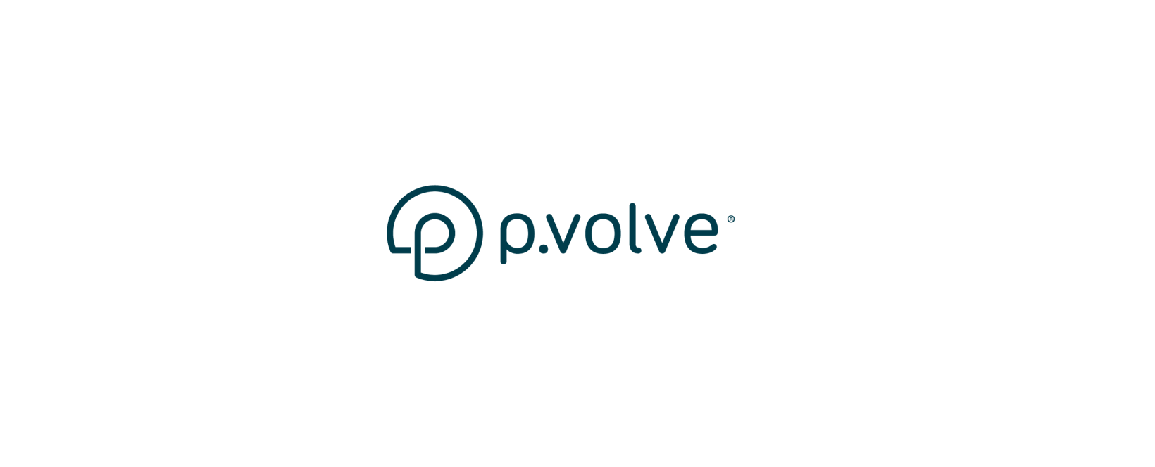 P.Volve Review 2025